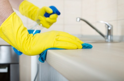 Enzyme treatment used for pet stain removal in Shoreditch home