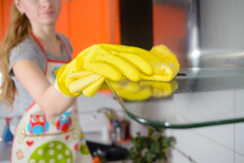 Cleaning service pricing and payment conditions document