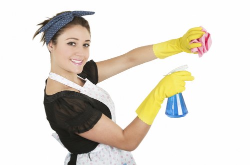 Technician assessing carpet cleaning risks before starting work
